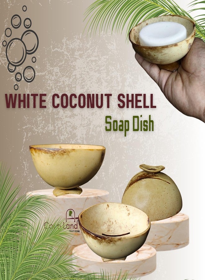 Coco Land White Coconut Shell SOAP Dish (Pack of 1) Coconut Oil Polished Natural Soap Pot/Soap Stand/Bathroom Decoratives/Soap Holder/Soap Case/Soap Box - Image 3